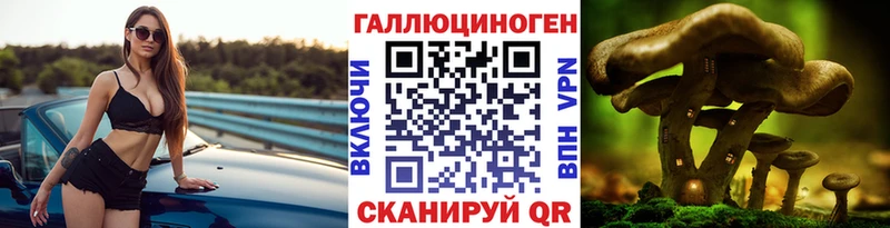 Купить  Белая Калитва  Псилоцибиновые грибы мицелий 